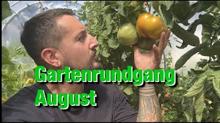 Gartenrundgang August 2023 Ernte von Tomaten Auberginen und mehr [upl. by Eustacia75]