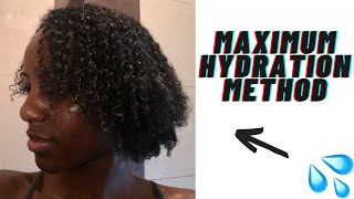 MAXIMUM HYDRATION METHOD  TYPE 4 HAIR APPROVED ✅ 💦 5 STEPS [upl. by Koren]