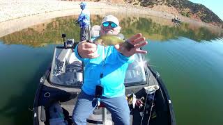 Catching the Hat Trick Rainbow Smallmouth Perch  Fishing Echo  20240926 FSC S12E13 [upl. by Annaeirb]