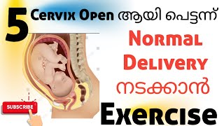 Normal Delivery Cervix Open easy exercise Malayalam pregnancyexercise [upl. by Eerb735]