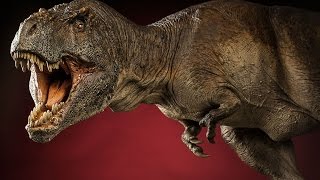 TYRANNOSAURUS REX  Sideshow Collectibles Dinosauria Unboxing [upl. by Longan]