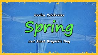 Herbie Celebrates Spring and the Feast of St Brighid 1 February [upl. by Leeann]