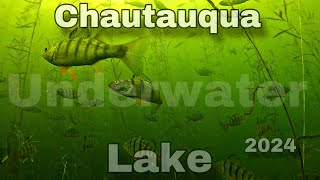 Under Water Video of Muskies and Walleye Chautauqua Lake NY [upl. by Uehttam51]