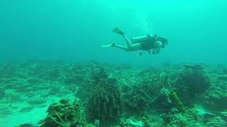 Jamaica Scuba Diving [upl. by Ecnal]