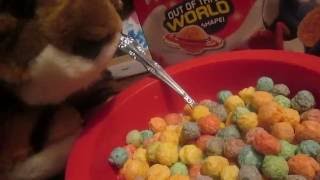 Froot Loops Bloopers Cereal Review [upl. by Enywad422]