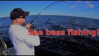 Fishing Steinhatchee for sea bass and trolling for grouper [upl. by Noiramed]