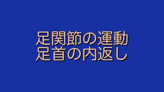 足関節の運動 足首の内返し Ankle exercise Ankle inversion [upl. by Ophelia]