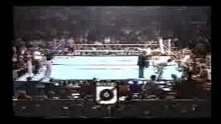 Thomas Hearns vs Dennis Andries rounds 5 and 6 [upl. by Pleasant]