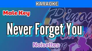 Never Forget You by Noisettes Karaoke  Male Key [upl. by Anoynek]