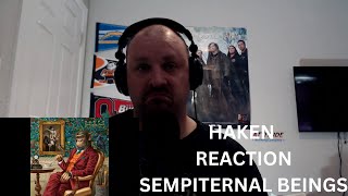 Haken REACTION Sempiternal Beings quotTalking New Metal Musicquot [upl. by Severen161]