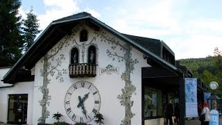 DRUBBA HOUSE OF CUCKOO CLOCKS  GERMANY [upl. by Dnomar]