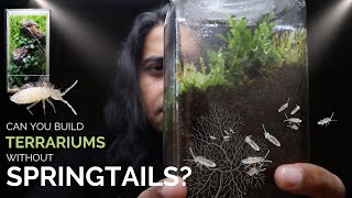 Can you build closed terrariums without springtails [upl. by Luana205]