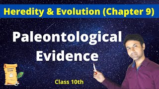 Palaeontological Evidence  Chapter 9  Class 10  ScienceWorld [upl. by Ellehcear375]