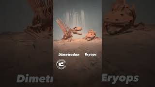 Prehistoric Showdown Dimetrodon vs Eyrops [upl. by Aleacem18]