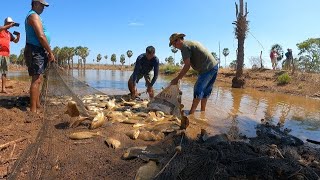 LEVAMOS CHICO MUSEU E COMITIVA PARA A PESCARIA COM REDE DE ARRASTO MUITOS PEIXES NO AÇUDE GRANDE [upl. by Keviv]