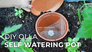 How to make DIY Ollas SelfWatering Systems for Plants [upl. by Ennahs9]