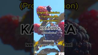 Kalinka Russian song lyrics in English kalinka lyrics russianmusic singing kalinkalyrics songs [upl. by Phare485]