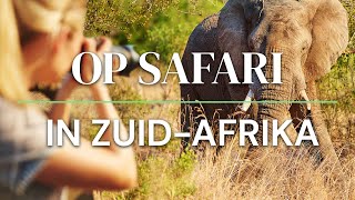 Op Safari in Zuid Afrika [upl. by Ainotal]