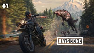 DAYS GONE Gameplay Walkthrough FULL GAME 4K 60FPS  No Commentary 🔴 Livestreamnow [upl. by Ahsap710]