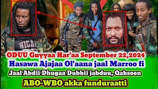 Hasawa Ajajaa Olaana jaal Marroo September 222024 fi Jaal Abdii Dhugaa Dubbii jabduu Qabsoon ABO [upl. by Rehpotisrhc]