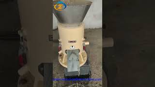 15kw SKJ250 sawdust pellet machine working woodpelletmachine pelletmill woodpelletfactory [upl. by Johny]