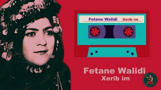 Fetana Walidî I Xerîb im  Official Audio  © 2024 [upl. by Huskamp]