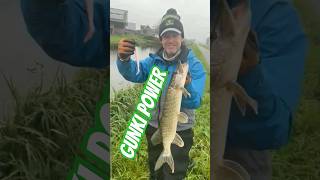 GUNKI POWER gunki fishing happy fish catchandrelease illex GUNKITV snoek polder [upl. by Llovera287]