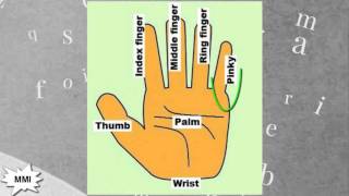 Finger Names What are Fingers Called [upl. by Ycal]