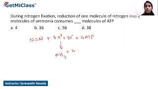 Nitrogen fixation [upl. by Nissensohn]