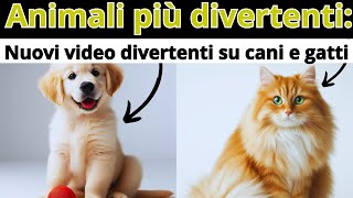 Animali più divertenti Nuovi video divertenti su cani e gatti [upl. by Ragen]