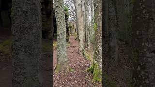 sentier SainteOdile Bon dimanche des Rameaux [upl. by Suirtemed]