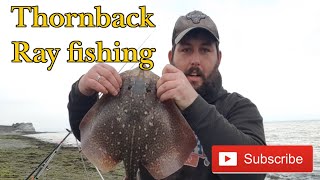 Thornback Ray Fishing  Whitehaven [upl. by Judah173]