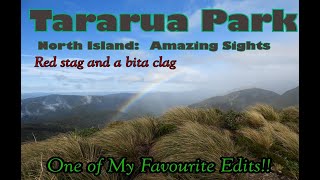 Hunting New Zealand Tararuas NZ023 episode 7 [upl. by Yelrebmik642]