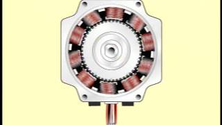 Operating Principles of a 5phase Stepper Motor [upl. by Nihsfa]