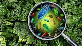 البكتيريا المسببة للتسمم الغذائى الجزء الاول Food Poisoning Bacteria Part I [upl. by Coco]