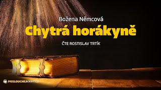 Božena Němcová Chytrá horákyně [upl. by Aleka]