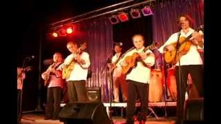 Bem Bem Maria Spanish Rumba Kings Gipsy Kings tribute band [upl. by Hayimas]