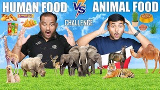 ANIMAL FOOD VS HUMAN FOOD EATING CHALLENGE  Food Eating Competition  Food Challenge [upl. by Paugh877]