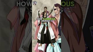 Shunsui Bankai Explained bleach bleachanime [upl. by Matthia]