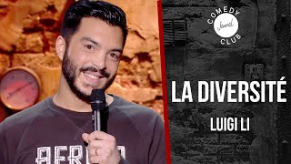 Luigi Li  La diversité  Jamel Comedy Club 2016 [upl. by Malvin]