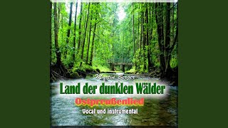 Land der dunklen Wälder Ostpreußenliedinstrumental [upl. by Wynny129]