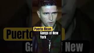 Puerto Rican Gangs of New York [upl. by Rann]