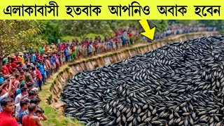 প্রকৃতির এমন ঘটনা ১হাজার বছরে একবার দেখা যায় Nature phenomenon [upl. by Ralip]