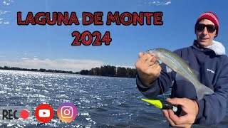 LAGUNA DE MONTE 2024 🎣 PESCA DE PEJERREY 🔥🎣 [upl. by Lasala132]