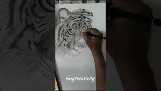 quotFierce Elegance A Detailed Pencil Drawing of a Majestic Tigerquotart sketchartist artist drawing [upl. by Nosretep]