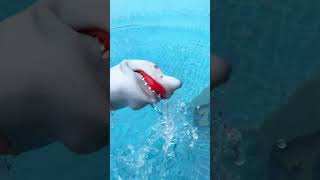 Shark Puppet Takes On The FREEZING POOL CHALLENGE subscribe shorts sharkpuppet [upl. by Kristie691]