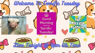 Terrific Tuesday [upl. by Wauters]