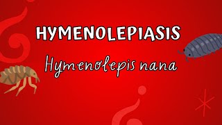 Hymenolepiasis  Hymenolepis nana [upl. by Gildea228]