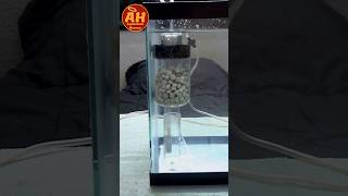 Betta fish tank filter shorts fishtank filter media [upl. by Xilef799]