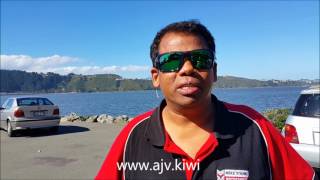 What about Wellington New Zealand to study or live [upl. by Ailec]